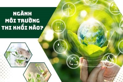 Ngành môi trường thi môn nào, học những gì?